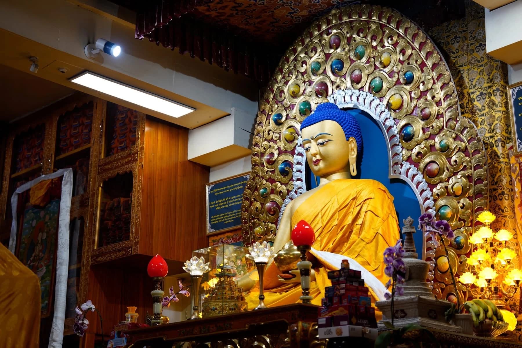 TỨ Y